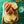Flexipan Recipes