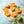 Recipe Flexipan 6 Animal Mold
